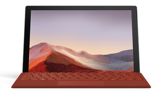 杂多清洁和维护 Surface